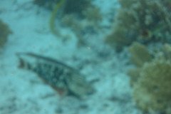 IMG_2205-.Medium