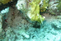 IMG_2209-.Medium