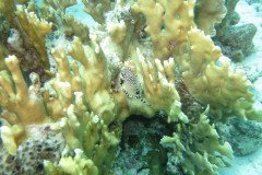 IMG_2211-.Medium