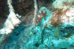 IMG_2214-.Medium