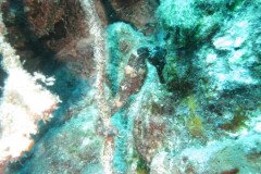 IMG_2215-.Medium