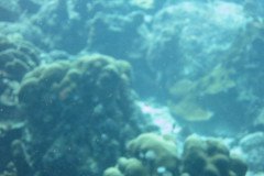 IMG_2218-.Medium