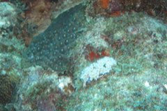 IMG_2221-.Medium