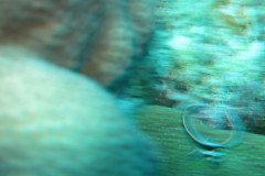 IMG_2222-.Medium