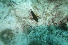IMG_2245-.Medium