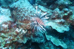 IMG_2248-.Medium