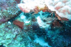 IMG_2249-.Medium