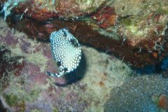 IMG_2251-.Medium