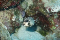 IMG_2252-.Medium