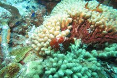 IMG_2253-.Medium