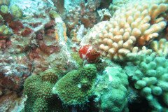 IMG_2254-.Medium