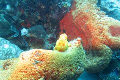 IMG_2255-.Medium