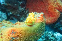 IMG_2256-.Medium