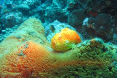 IMG_2257-.Medium