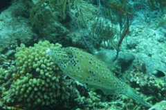IMG_2259-.Medium