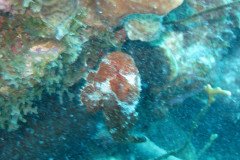 IMG_2260-.Medium
