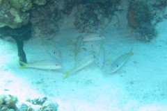 IMG_2263-.Medium
