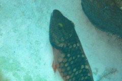 IMG_2265-.Medium