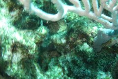 IMG_2266-.Medium