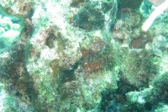 IMG_2267-.Medium
