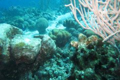 IMG_2269-.Medium