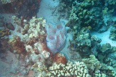 IMG_2270-.Medium