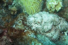 IMG_2274-.Medium
