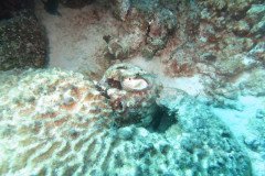 IMG_2277-.Medium