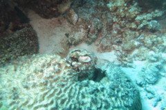 IMG_2278-.Medium