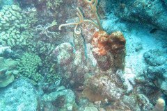 IMG_2281-.Medium