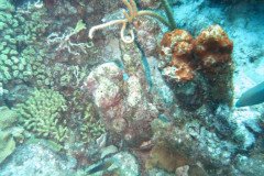 IMG_2282-.Medium