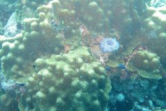 IMG_2283-.Medium