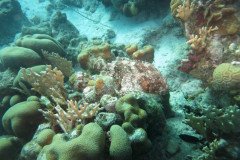 IMG_2284-.Medium