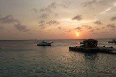IMG_2296-.Medium