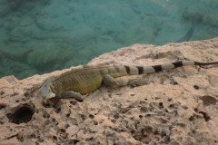 IMG_2297-.Medium