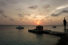 IMG_2298-.Medium
