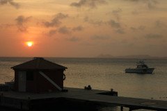 IMG_2299-.Medium