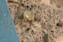 IMG_2300-.Medium