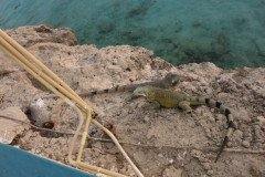 IMG_2307-.Medium