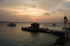 IMG_2310-.Medium