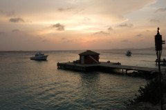 IMG_2311-.Medium