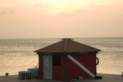IMG_2312-.Medium