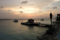 IMG_2313-.Medium