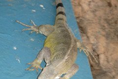 IMG_2314-.Medium