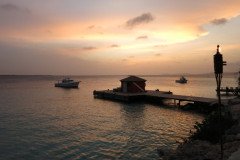 IMG_2315-.Medium