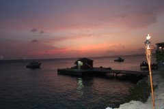 IMG_2316-.Medium