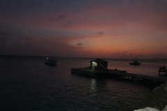 IMG_2317-.Medium