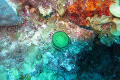 IMG_2321-.Medium