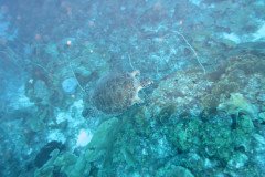 IMG_2323-.Medium