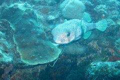 IMG_2326-.Medium
